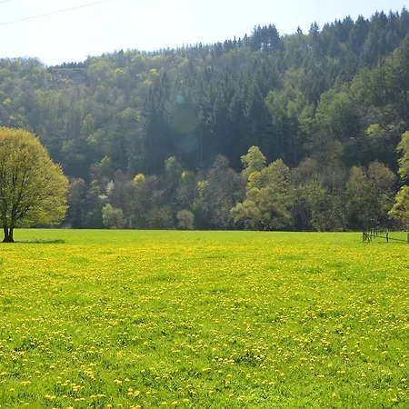 Casa vacanze Pleasant Cottage In The Heart Of A Farm In Activity Not Far From Vielsalm